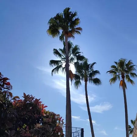 Apartman 2 Pieces Au Coeur Des Golfs De Raphael