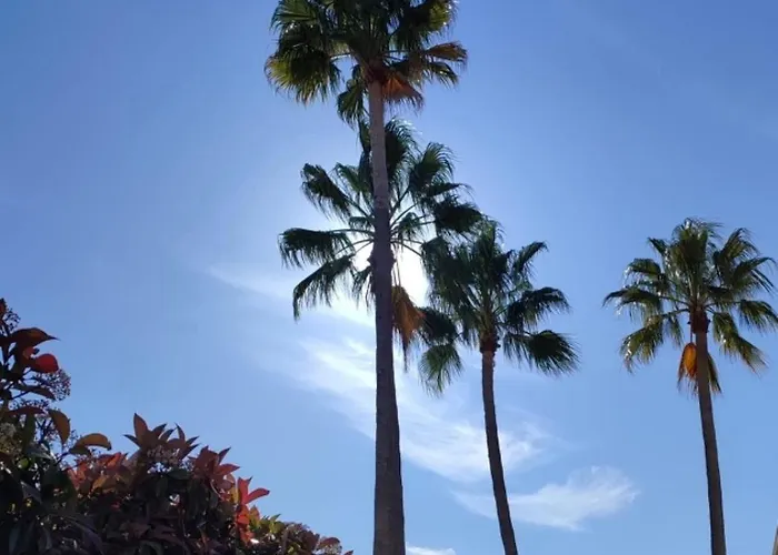 Апартаменти 2 Pieces Au Coeur Des Golfs De Raphael